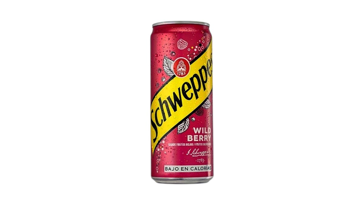 Gazuotas gėrimas Wild Berry SCHWEPPES 330ml.